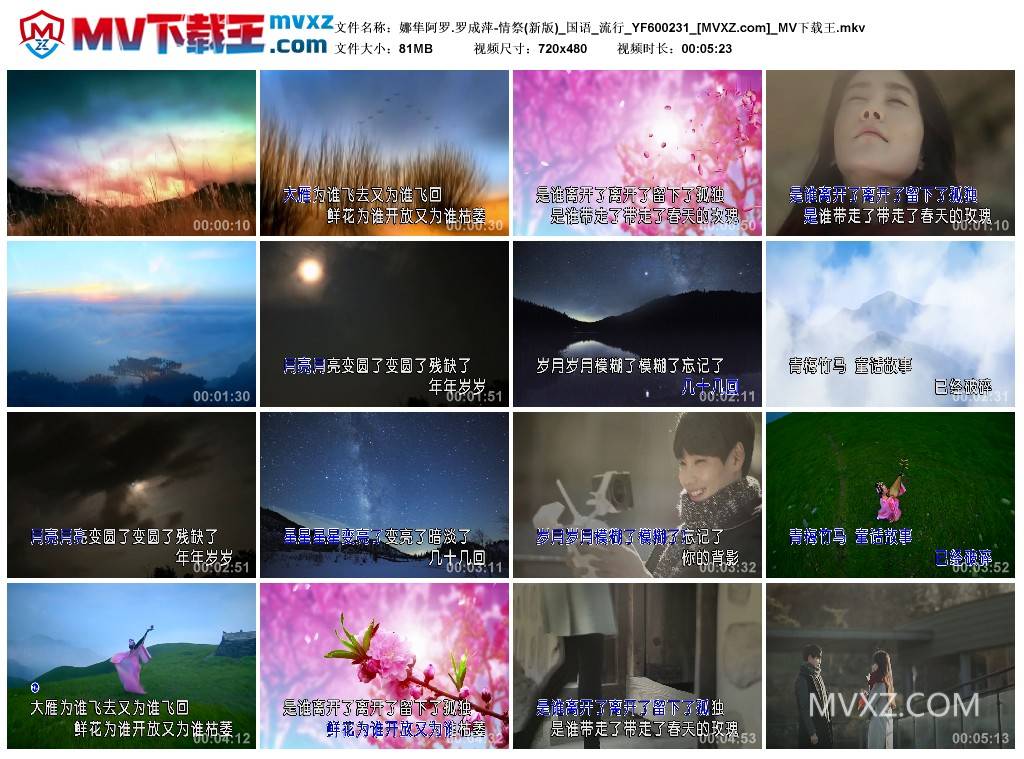 娜隼阿罗.罗成萍-情祭(新版)_国语_流行_YF600231